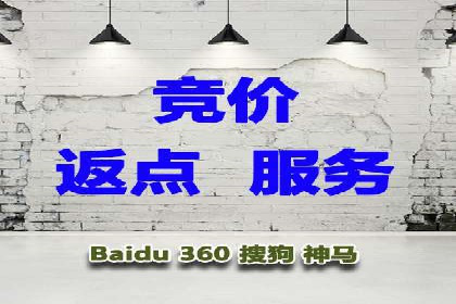 360信息流广告投放技巧与成功案例解析